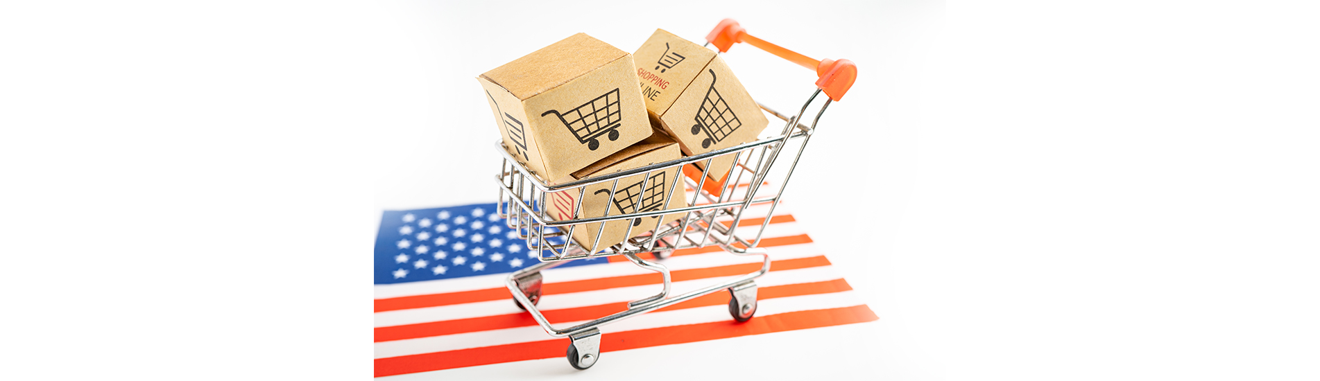 Dropshipping USA- How to Find Dropshipping Suppliers from India to the USA?